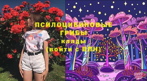 гидропоника Киренск