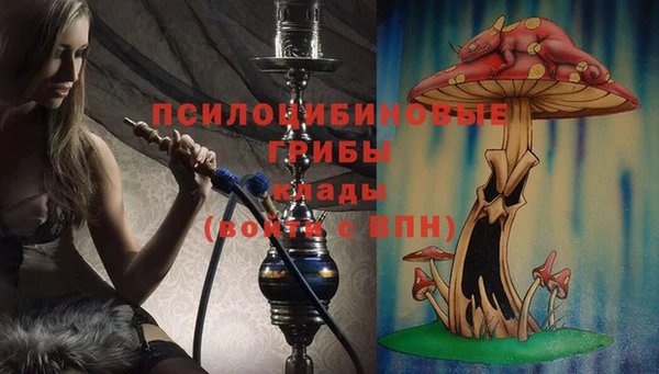 гидропоника Киренск