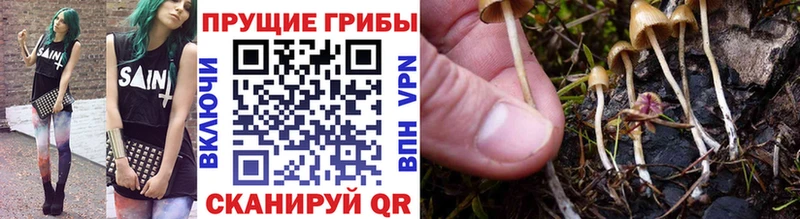 Галлюциногенные грибы Magic Shrooms  Купить закладки  Бодайбо 